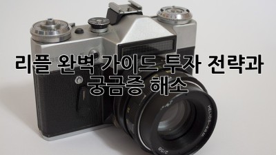 리플 완벽 가이드: 투자 전략과 궁금증 해소