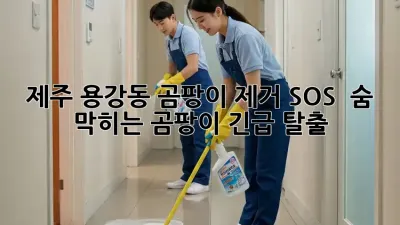 제주 용강동 곰팡이 제거 SOS 🚨 숨 막히는 곰팡이, 긴급 탈출!